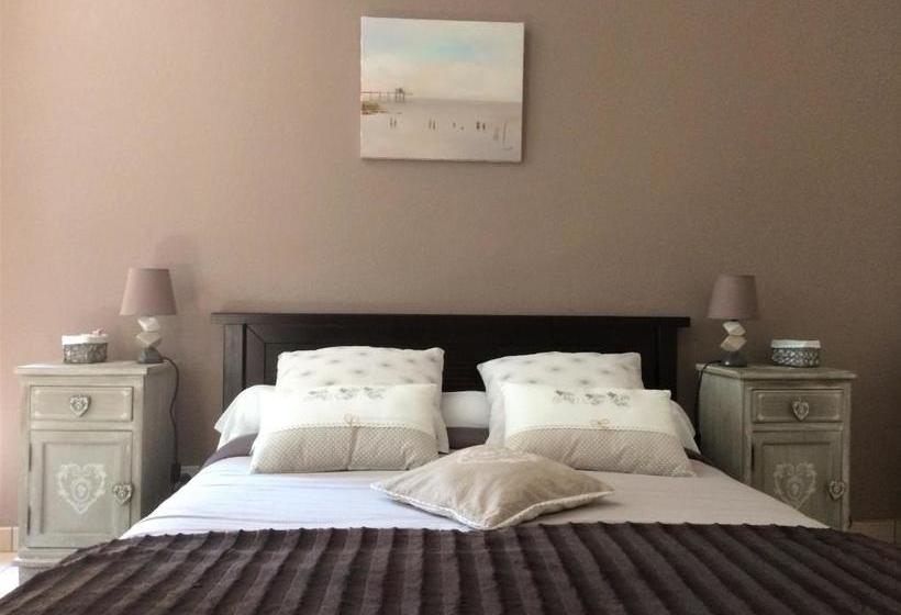 פנסיון Chateau Haut Baron