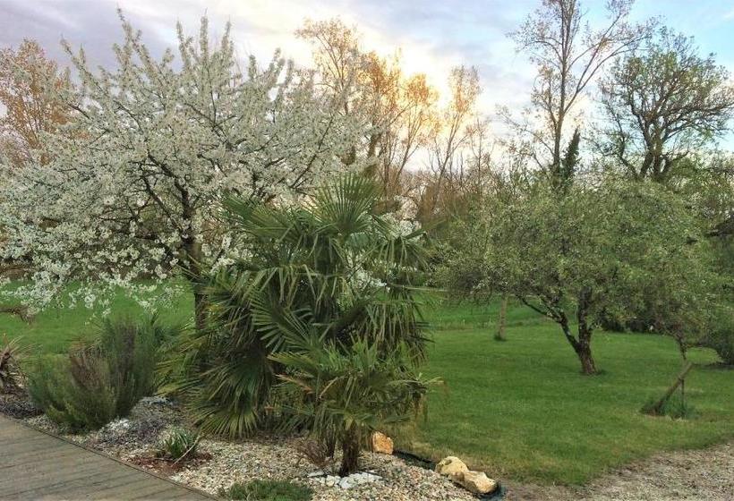 פנסיון Chateau Haut Baron