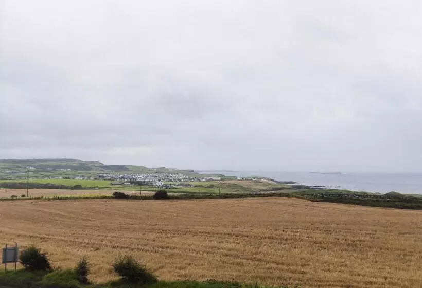 هاستل Gray S At Bushmills