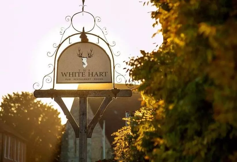 ユースホステル The White Hart, South Harting