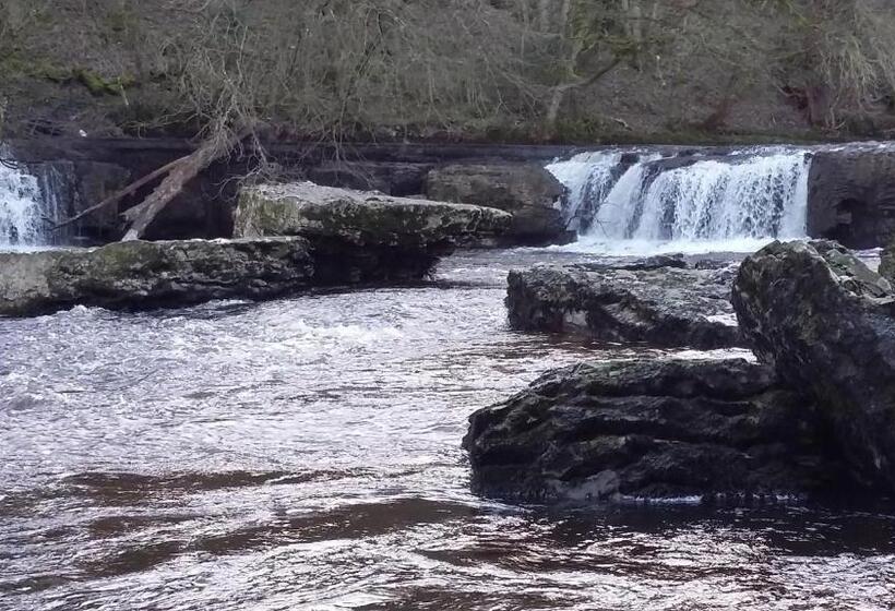 פנסיון Willance House Guest House