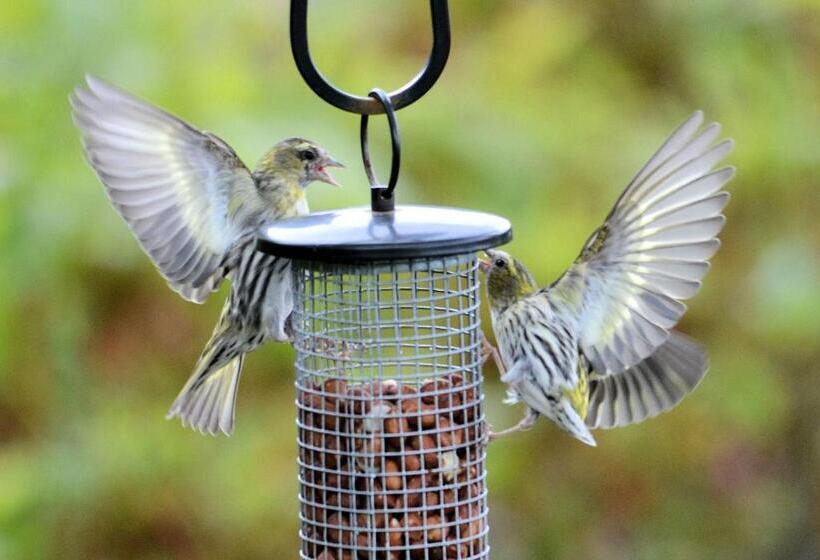 Pensione Lochview House