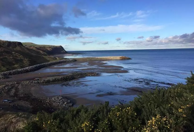 ペンション Moonfleet Boutique