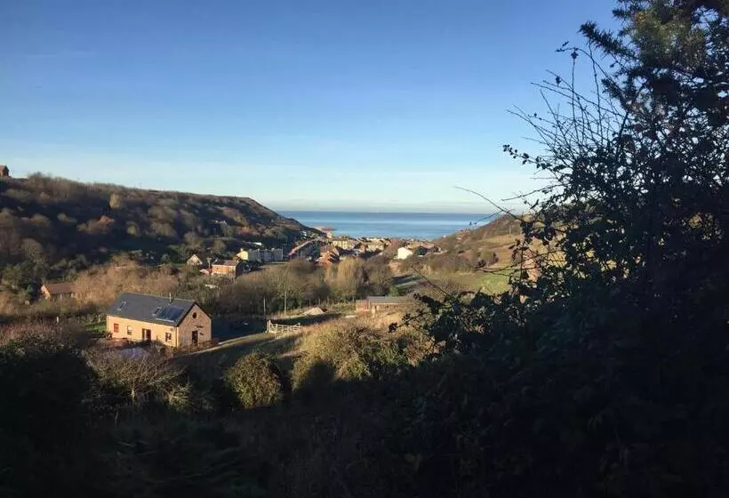 ペンション Moonfleet Boutique