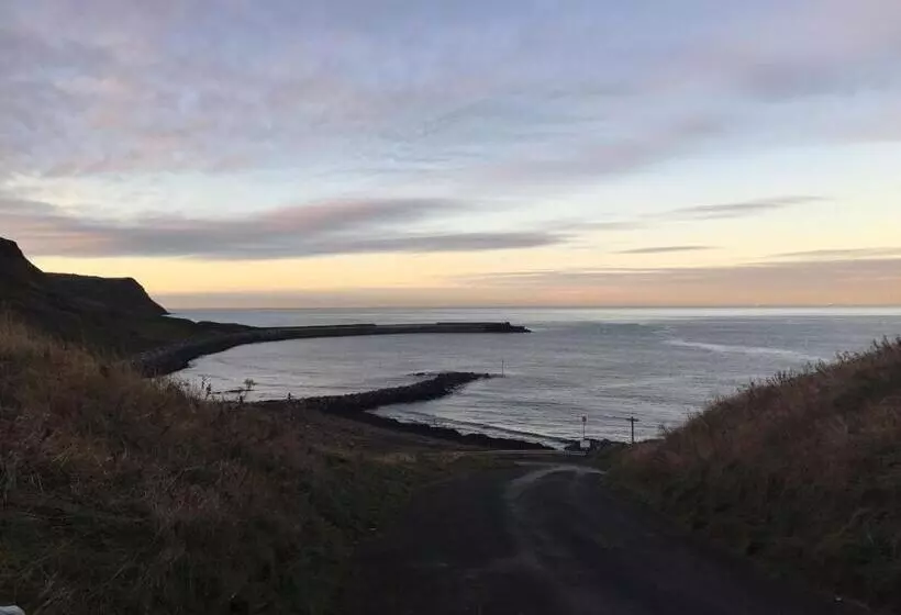 ペンション Moonfleet Boutique