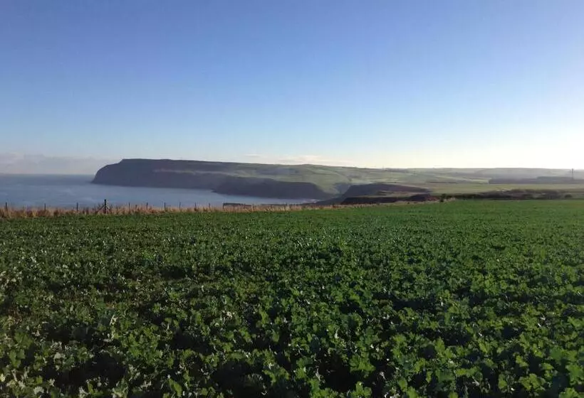 ペンション Moonfleet Boutique