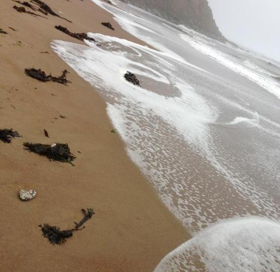 بنسيون Moonfleet Boutique