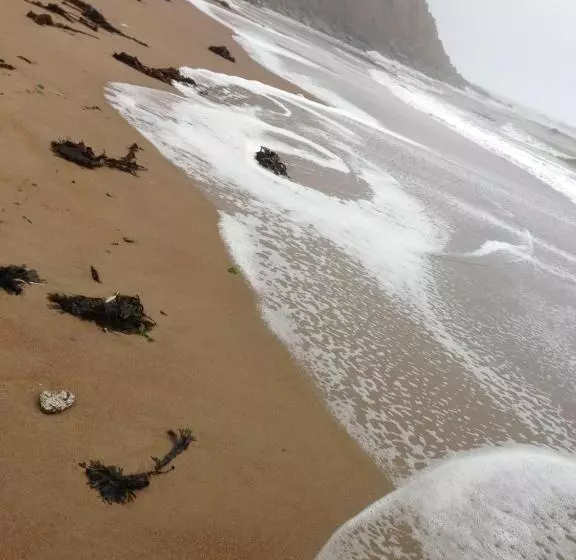 ペンション Moonfleet Boutique