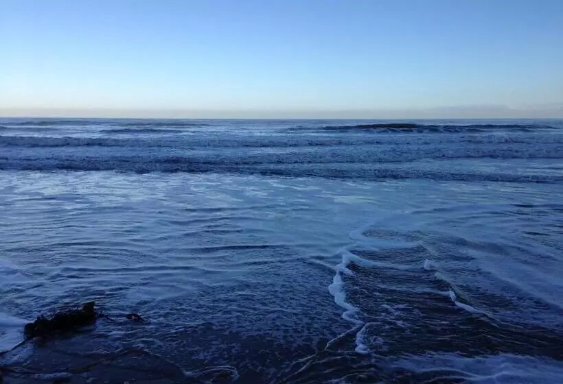 ペンション Moonfleet Boutique