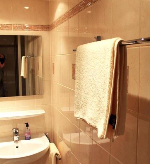 호텔 Landgasthof Grüner Baum Dittigheim