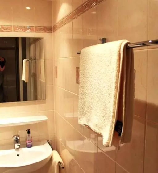 Hotelli Landgasthof Grüner Baum   Dittigheim