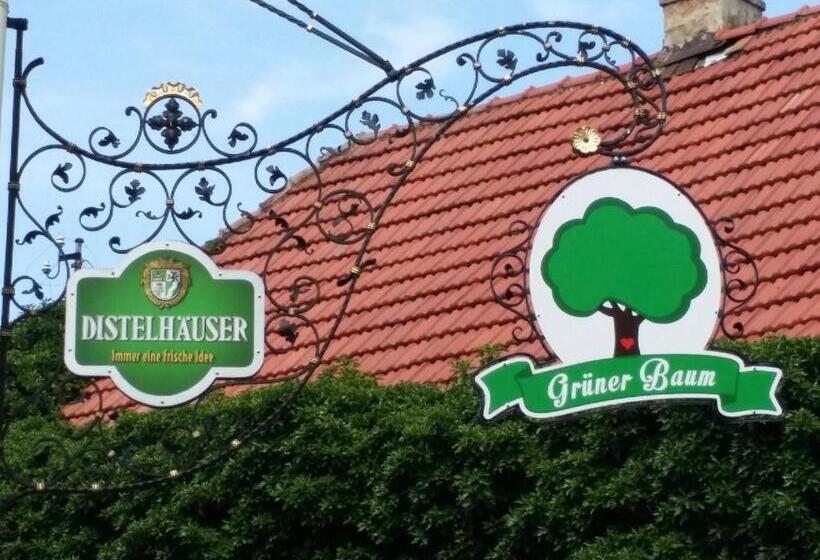 호텔 Landgasthof Grüner Baum Dittigheim