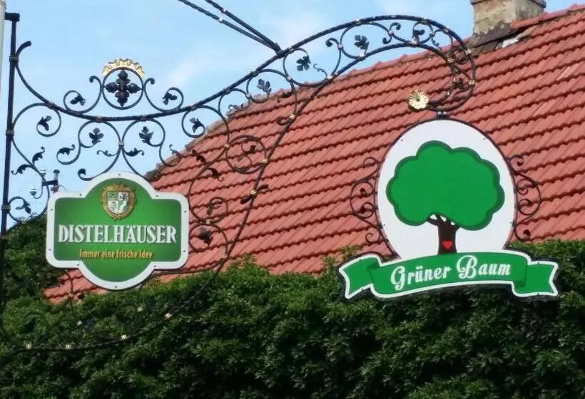 Hotelli Landgasthof Grüner Baum   Dittigheim