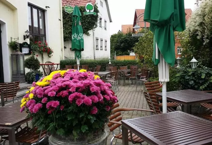 Hotelli Landgasthof Grüner Baum   Dittigheim