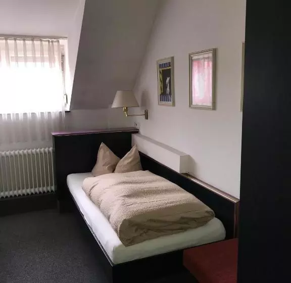 Hotelli Landgasthof Grüner Baum   Dittigheim