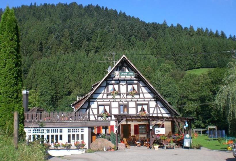 Пансион Landgasthof Untere Mühle