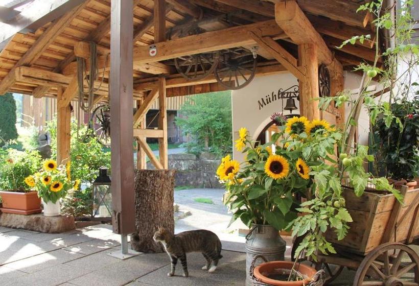 Пансион Landgasthof Untere Mühle