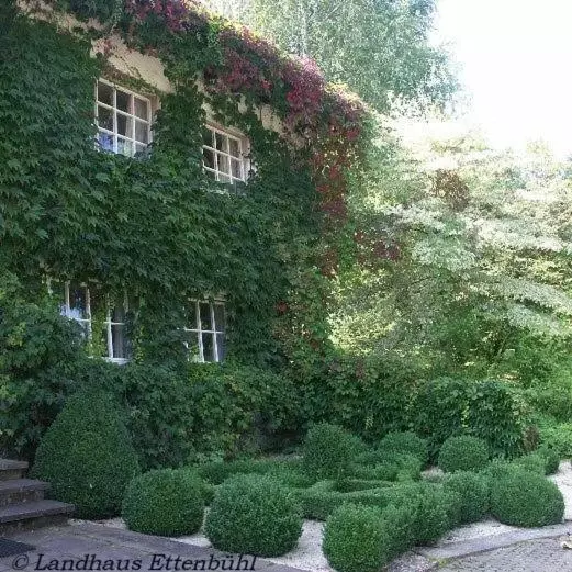 ペンション Landhaus Ettenbühl Bed And Breakfast
