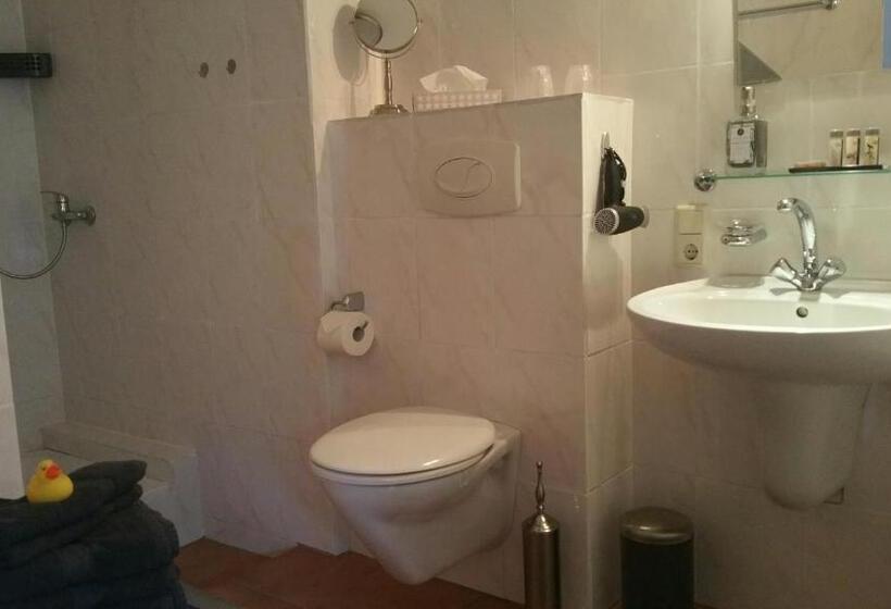 בית מלון כפרי Ferienbauernhof De Slaaphoeve