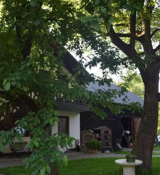 پانسیون Gästehaus Bohg