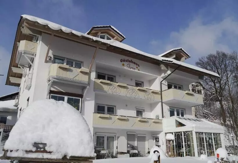 Pension / Fw Gästehaus Stern