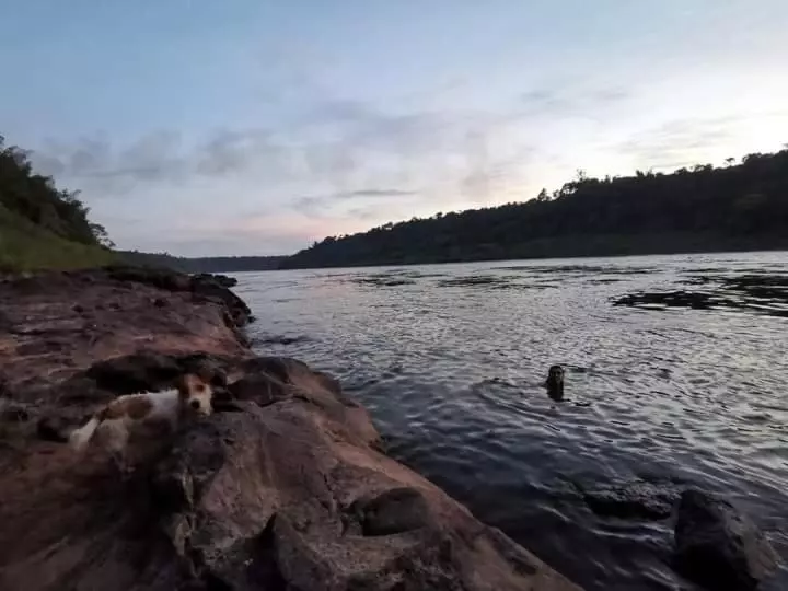 ユースホステル Nativa Iguazu