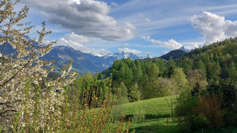 호텔 Bauernhof Vorderstiedler