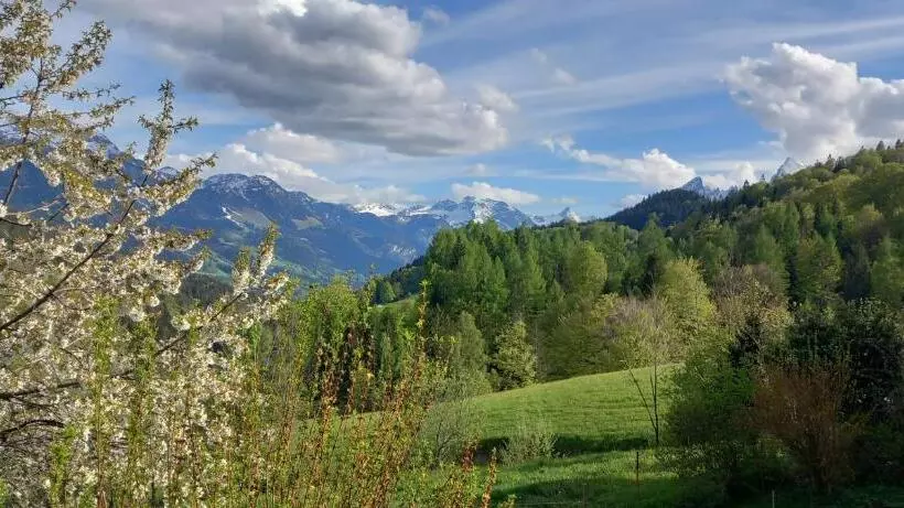 ホテル Bauernhof Vorderstiedler