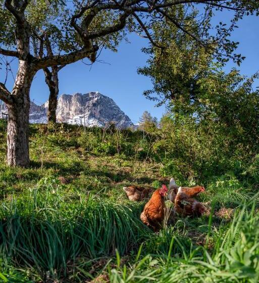 호텔 Bauernhof Vorderstiedler