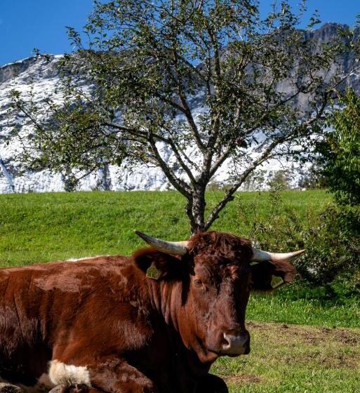 호텔 Bauernhof Vorderstiedler