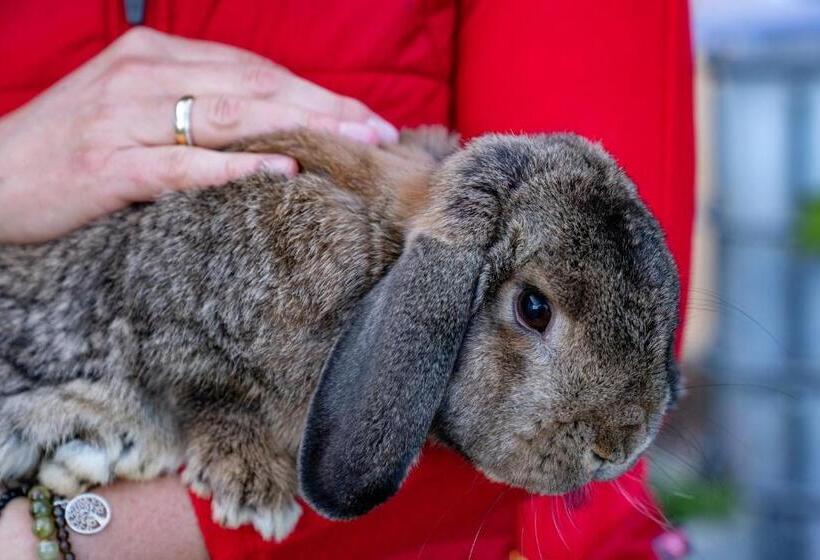 호텔 Bauernhof Vorderstiedler