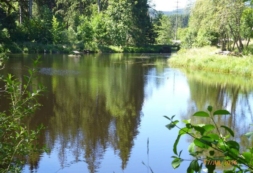 펜션 Landgasthaus Gemsennest