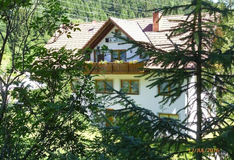 膳宿费 Landgasthaus Gemsennest