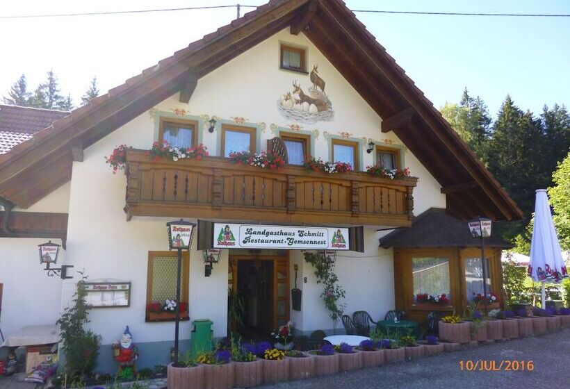 膳宿费 Landgasthaus Gemsennest