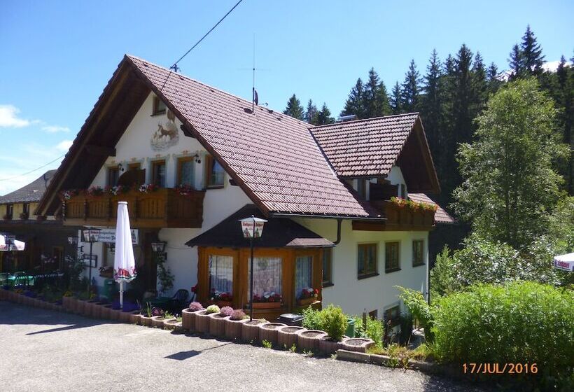 膳宿费 Landgasthaus Gemsennest