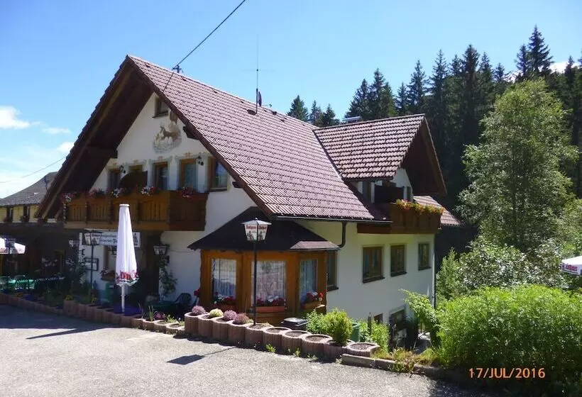 ペンション Landgasthaus Gemsennest