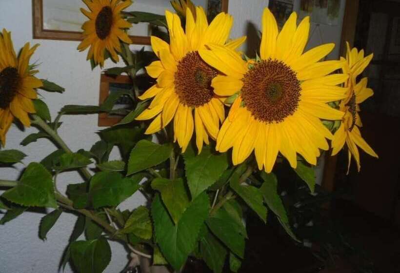 펜션 Landgasthaus Gemsennest