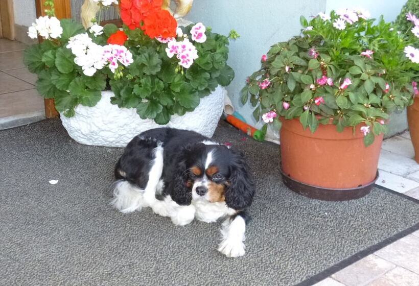 膳宿费 Landgasthaus Gemsennest