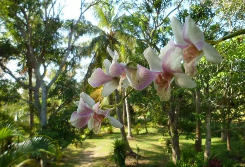 پانسیون Le Logis De Kep