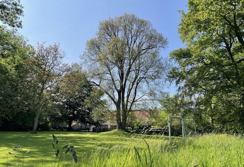 پانسیون Wattlodge