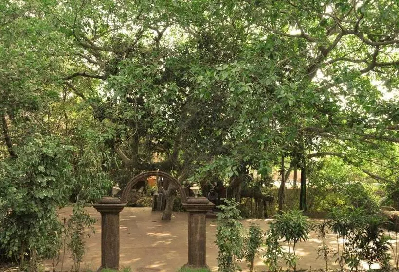 استراحتگاه Namaste Sanjeevini