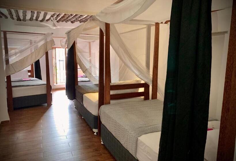 هاستل Stone Town House