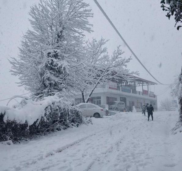 בית מלון כפרי The Whyt