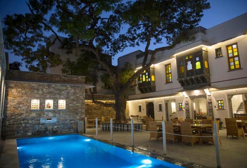 Bed and Breakfast The Neem Tree