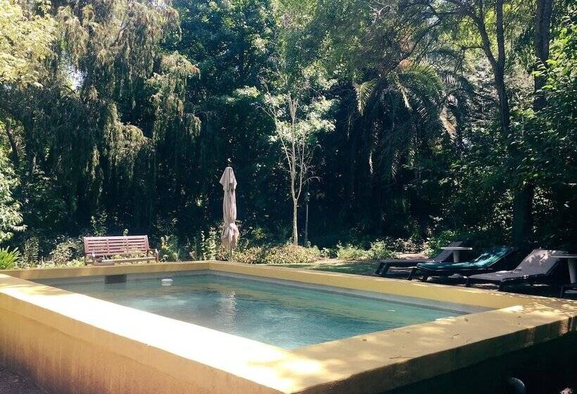 膳宿费 High Hopes