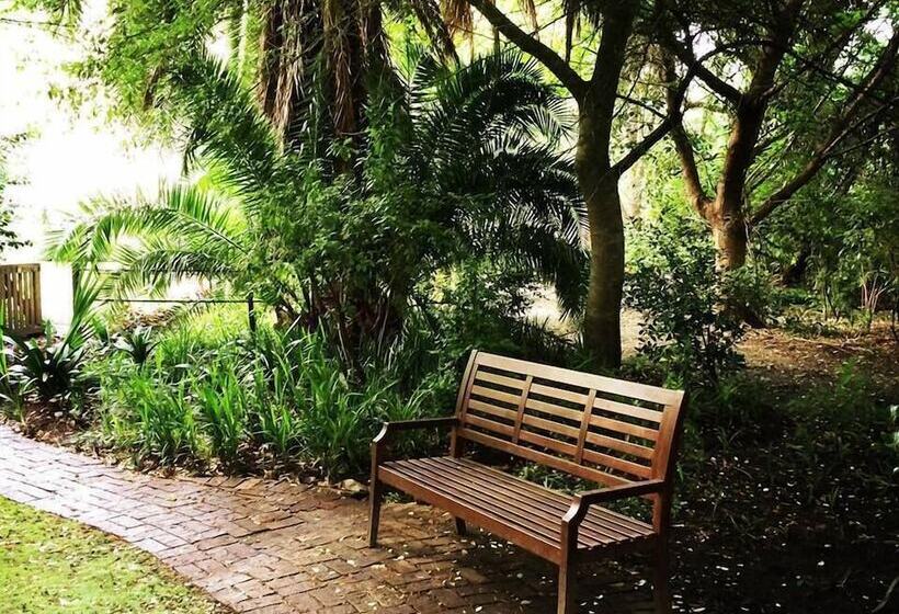 膳宿费 High Hopes