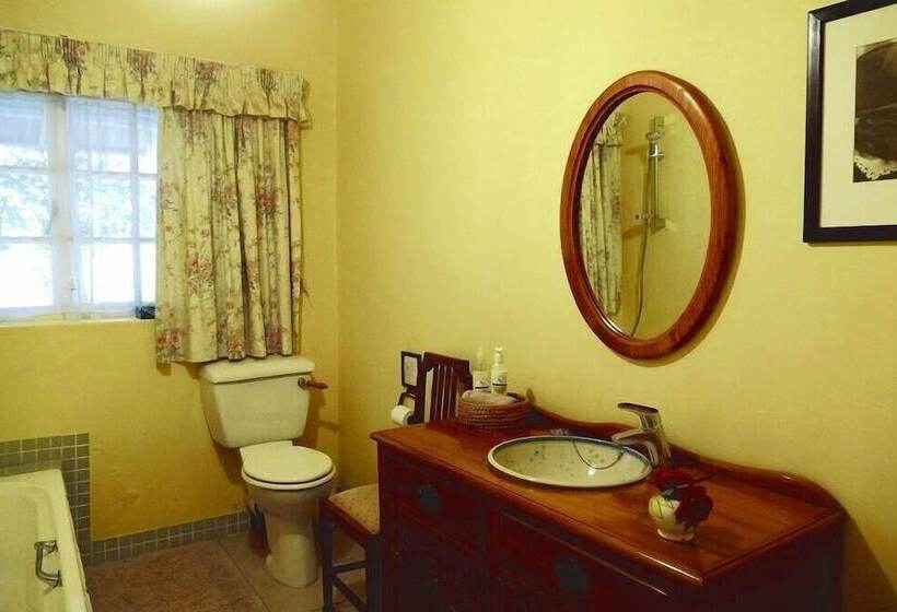 膳宿费 High Hopes