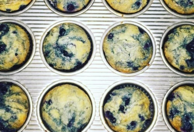 هاستل Kineo View Lodge