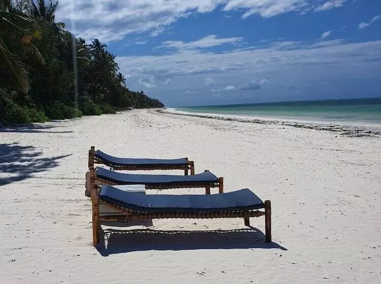 Aamiaismajoitus (B&B) Blue Palm Zanzibar