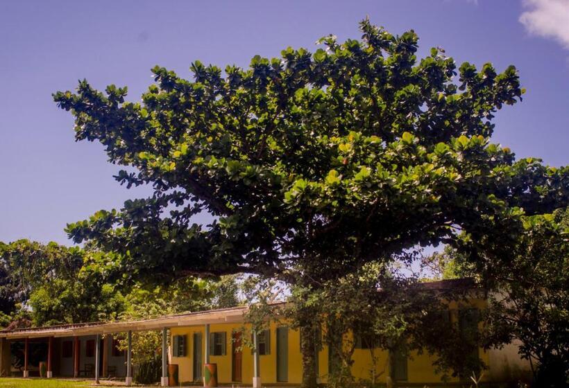 بنسيون Namastê Pousada E Camping